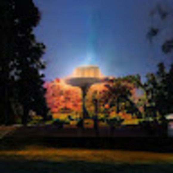 Meet your Posher, Dylan - Picture 1 of 1